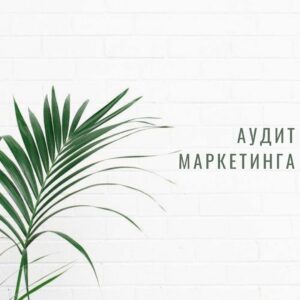 Аудит маркетинга, Ревизия маркетинга, Маркетинговый аудит
